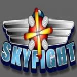 Skyfight.io