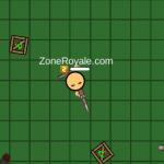 Zone Royale